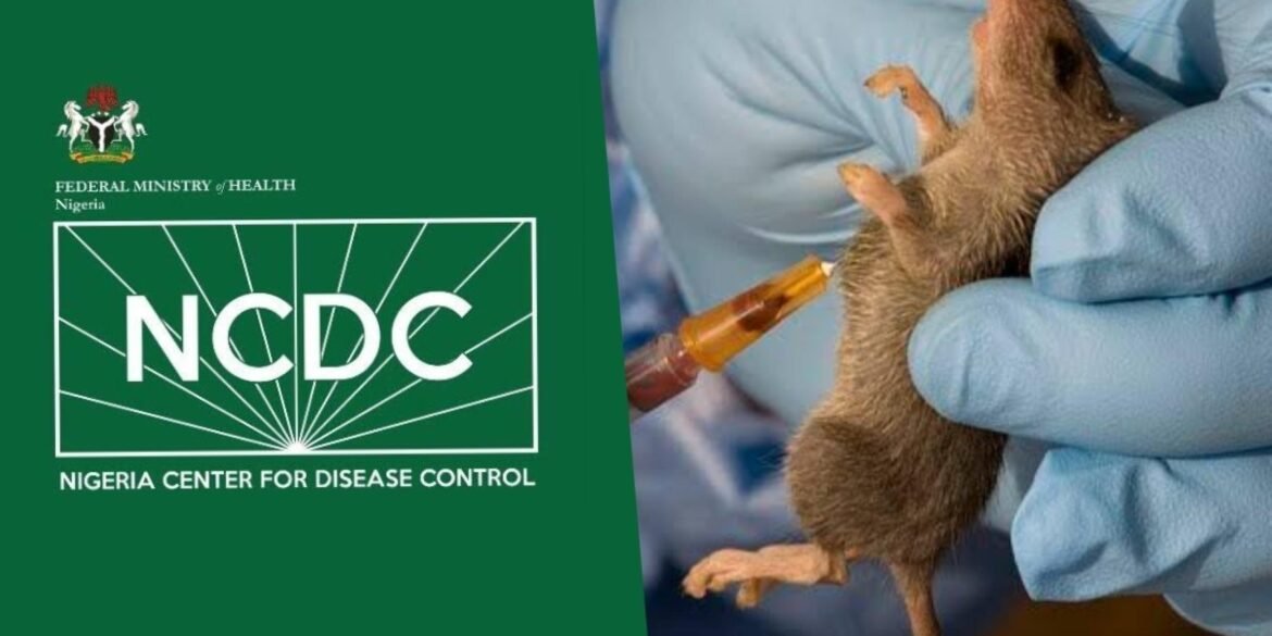 NCDC Confirms Lassa Fever Death Of Nigerian Doctor Returning From UK As Fatalities Surge To 98 Amid Rising Global Health Concerns