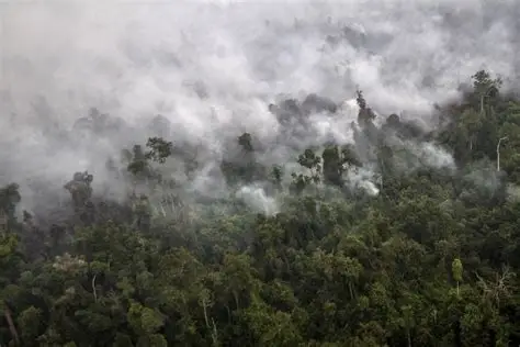 Indonesia Wildfires Intensify Southeast Asia Haze as Dry Ice Weather Modification Begins and Timor-Leste Closes Schools