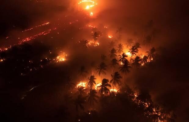 Indonesia Wildfires Send Hazardous Haze Across Southeast Asia as Health Risks Mount